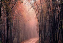 铿锵玫瑰绽放！中国女足勇夺半决赛席位，未来可期！